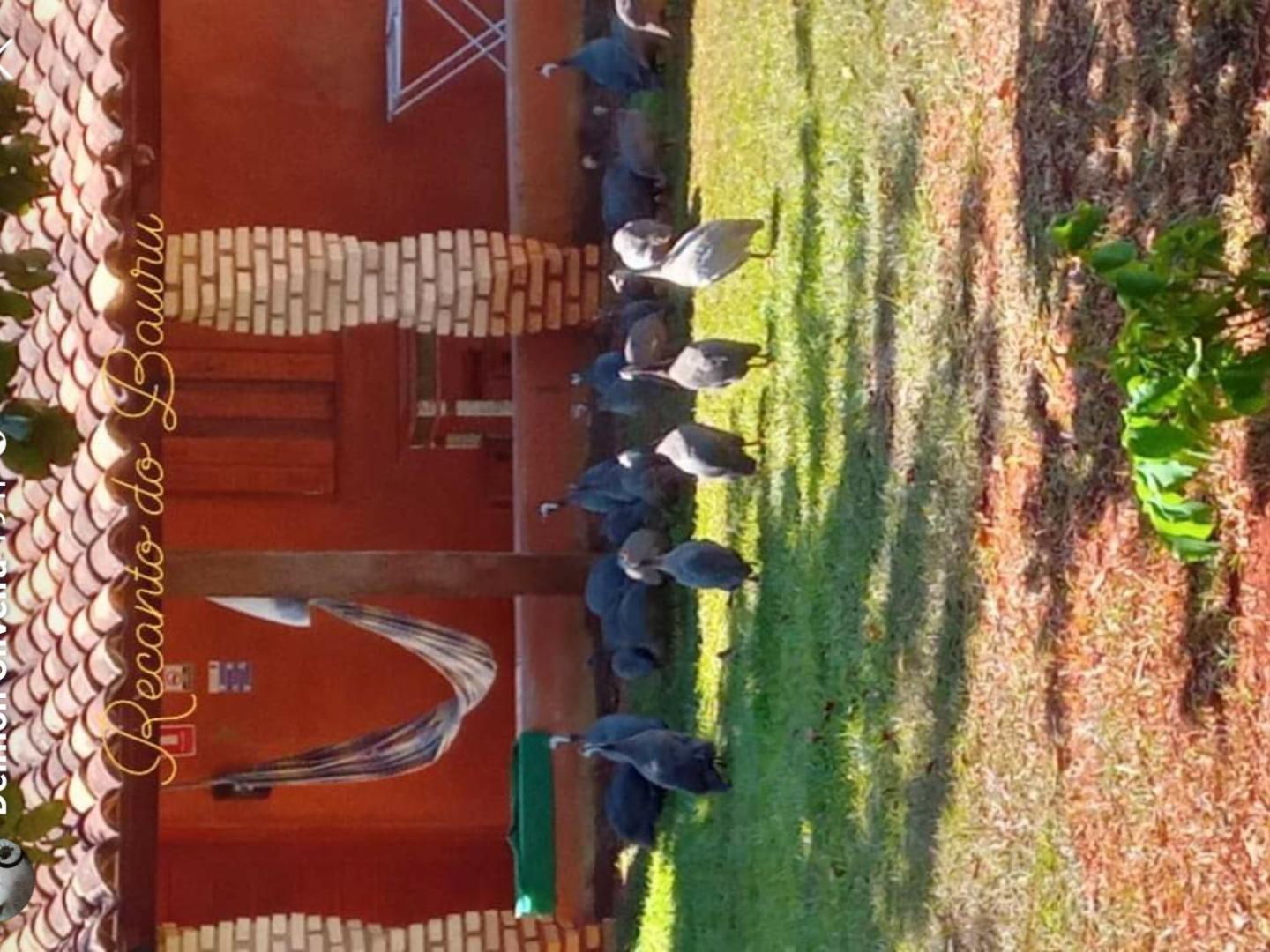 Recanto do Baru Pirenópolis Exterior foto