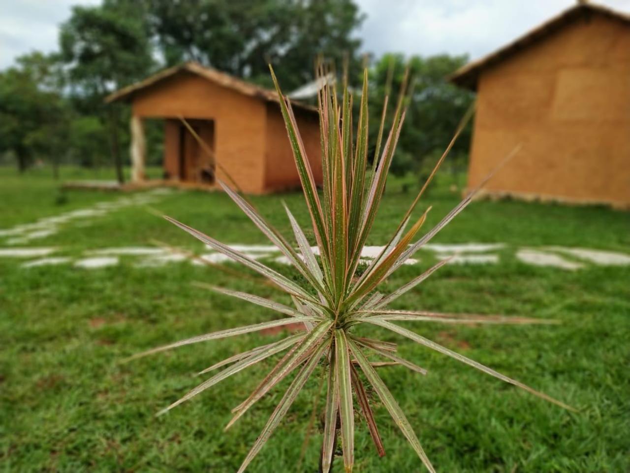 Recanto do Baru Pirenópolis Exterior foto
