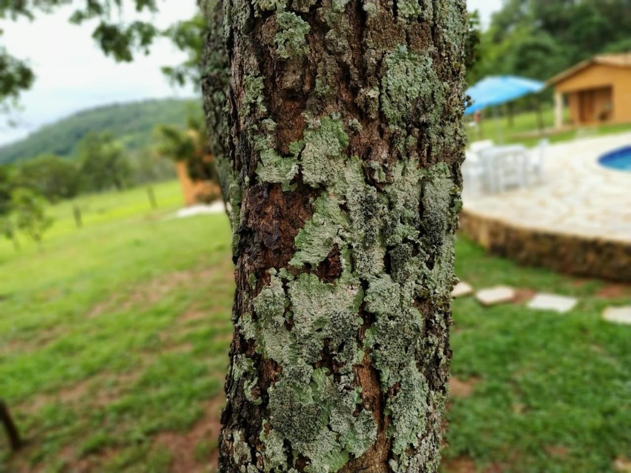 Recanto do Baru Pirenópolis Exterior foto